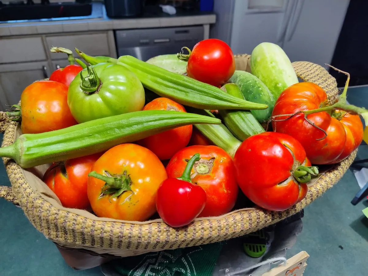 Jones Farm Fresh Vegetables